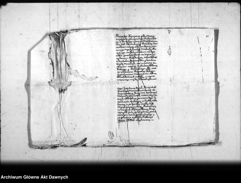 image.from.team "Archiwum Platerów z Antuzowa"