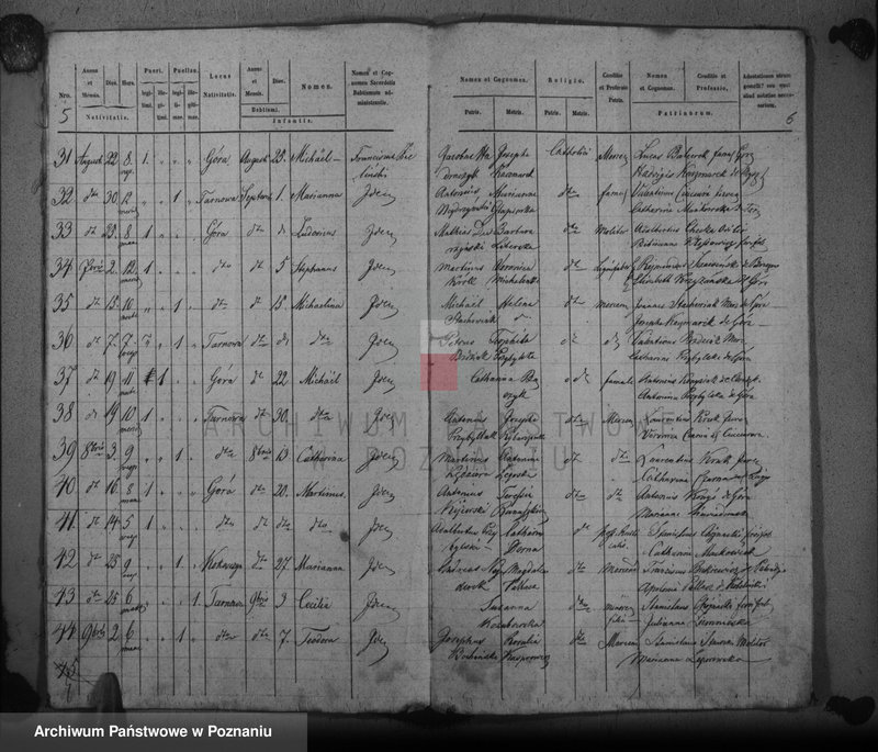 Obraz 6 z jednostki "Duplikat baptisatorum, copulatorum, mortuorum"