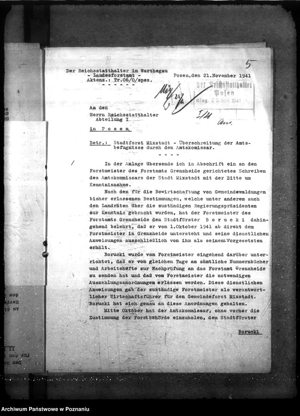 Obraz 9 z jednostki "Zarządzanie i gospodarowanie lasami gminnymi"