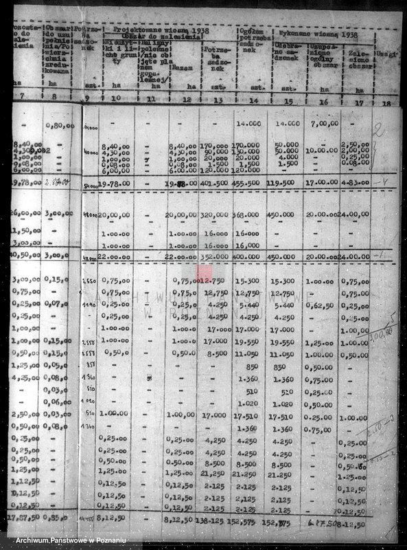 Obraz 6 z jednostki "Zalesienie nieużytków /wykaz/"