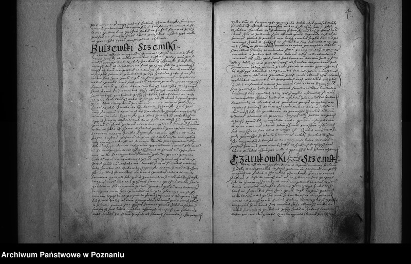 Obraz 7 z jednostki "Inscriptiones [inducta]"