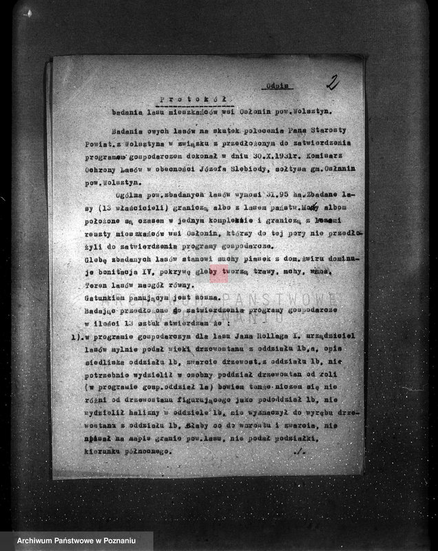 image.from.unit.number "/Nadzór nad gospodarką leśną protokoły badania lasów programy gospodarstw rolnych/ z terenu powiatu wągrowieckiego"