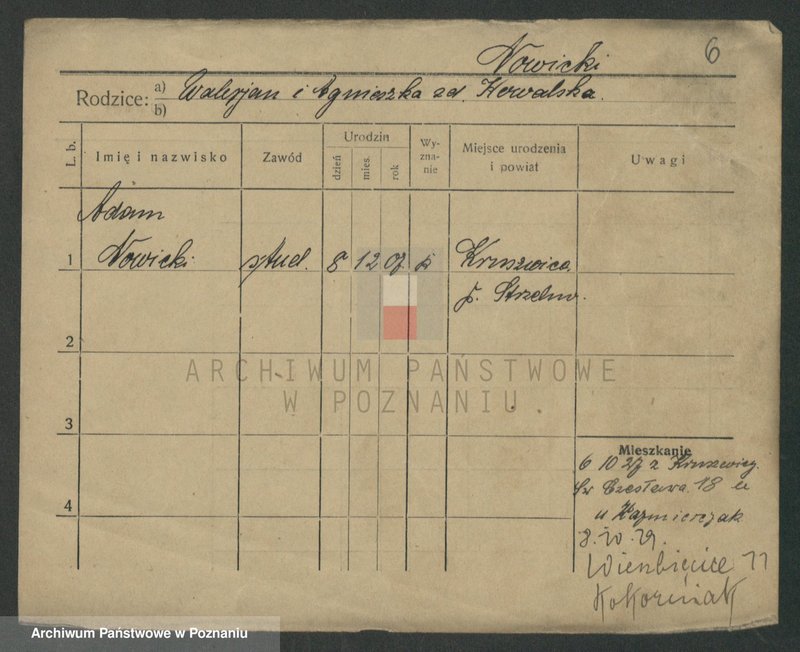 Obraz 8 z jednostki "Nowicki (samotni mężczyźni)"