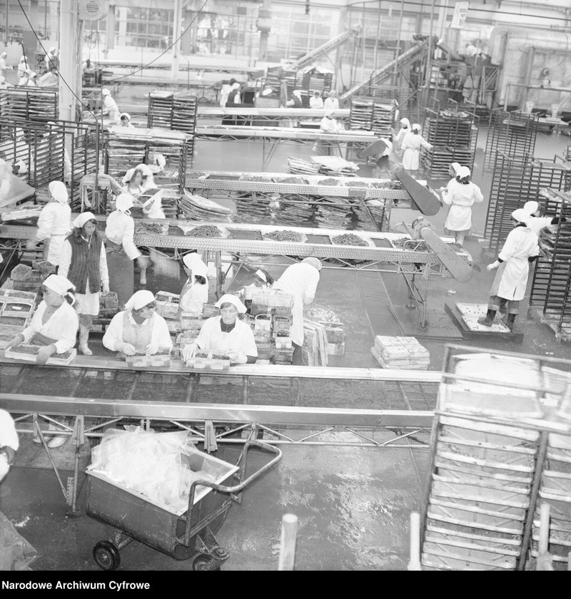 Obraz 6 z jednostki "Zakład produkcyjny Przedsiębiorstwa Handlu Zagranicznego "Hortex" w Płońsku"