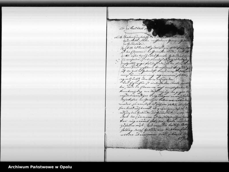 Obraz 5 z jednostki "Acta die bei der Stadt Oppeln dem Staate gehörenden [Garnisongebäude] so wie die Verwei[...] und die Miethe für die Hauptwacht Vol. I de anno 1821"