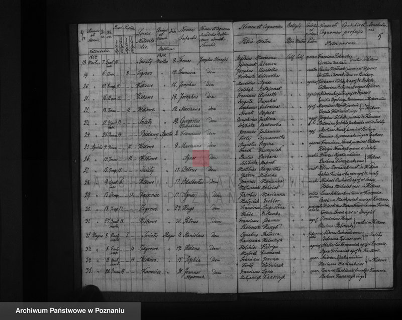 Obraz 5 z jednostki "Liber baptisatorum, copulatorum, mortuorum"