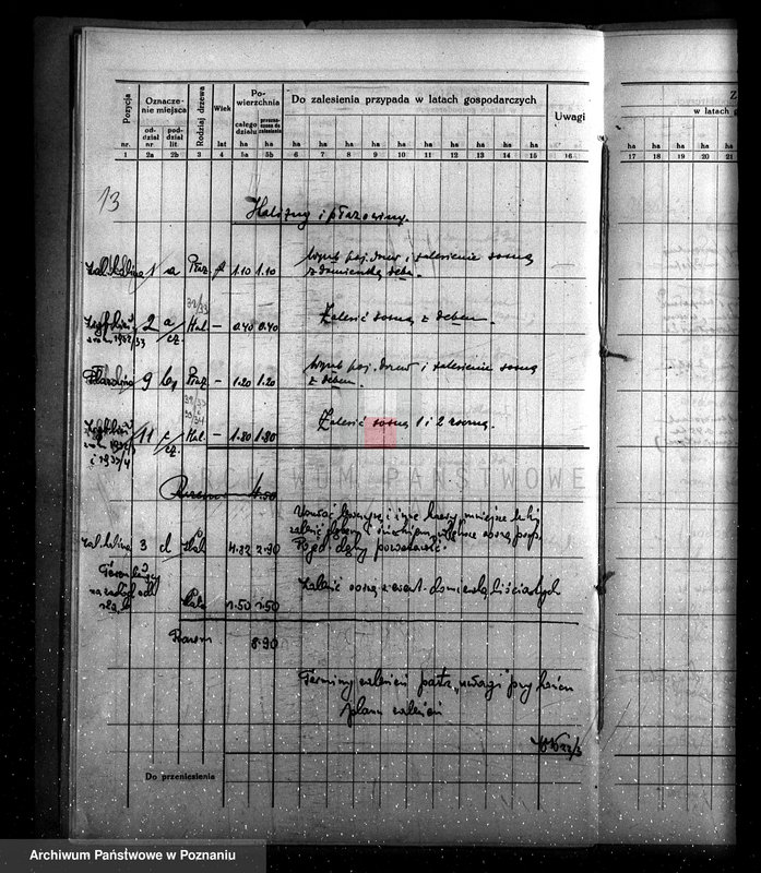 Obraz 17 z jednostki "Program urządzenia gospodarstwa leśnego dla lasu majętności Kobylepole powiat poznański 1933/34-1938/39"
