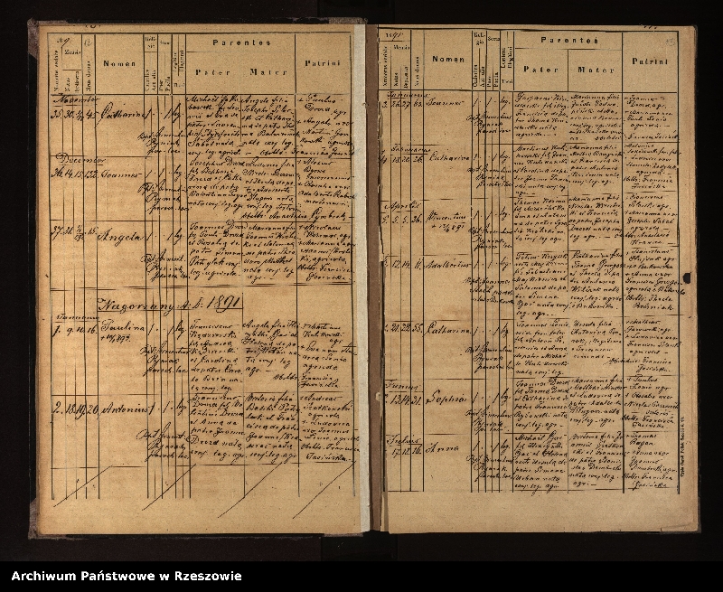 image.from.unit.number "Księga urodzeń, małżeństw i zgonów dla miejscowości Nowotaniec, Nadolany, Nagórzany, Pielnia, Wola Sękowa, Wola Jaworowa, Puławy"