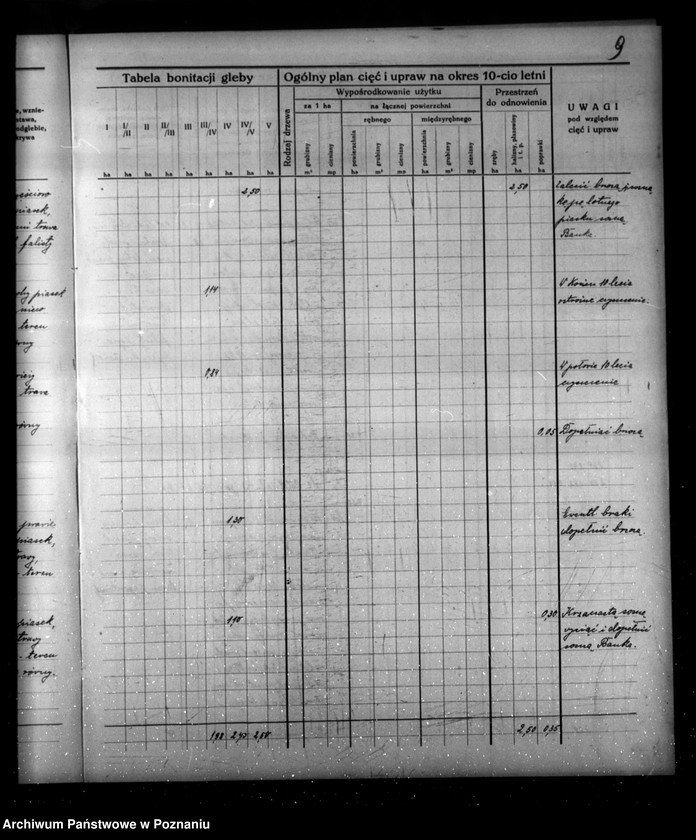 Obraz 13 z jednostki "Program urządzenia gospodarstwa leśnego dla lasu majątku Borowy-Młyn w powiecie międzychodzkim/"
