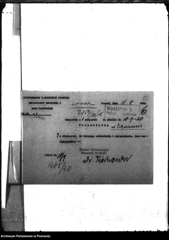 Obraz 14 z jednostki "Nosacizna - Kościan"