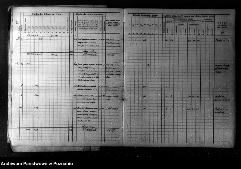 Obraz 15 z jednostki "/Plan urządzania gospodarstwa leśnego dla lasu majątku Turew powiatu kościańskiego 1933-1943/"