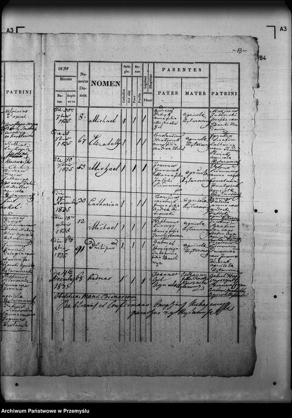 Obraz 17 z jednostki "[Kopie ksiąg metrykalnych parafii Rajtarowice z filiami Rogóźno, Sadkowice (dekanat Mościska)]"