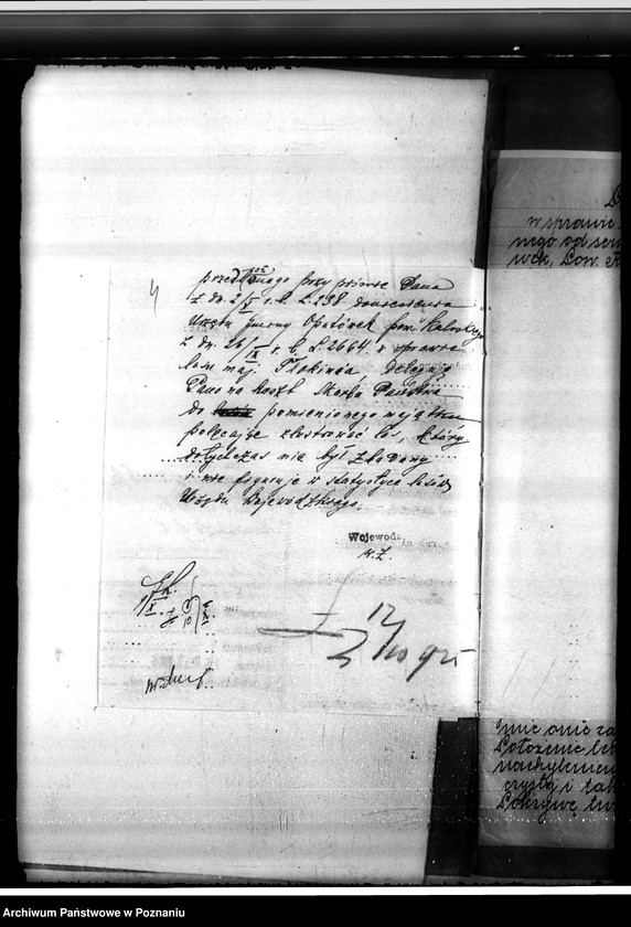 Obraz 8 z jednostki "Sprawa o niedostateczne zalesienie lasu 16,24 ha w majątku Tłokinia"