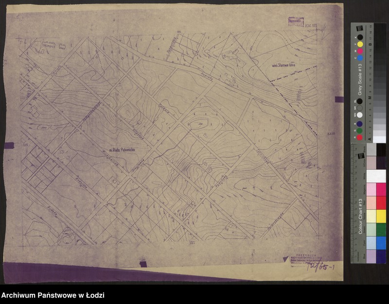 Obraz 1 z jednostki "Plan m. Łodzi 1: 2000. Sekcja SW 111"