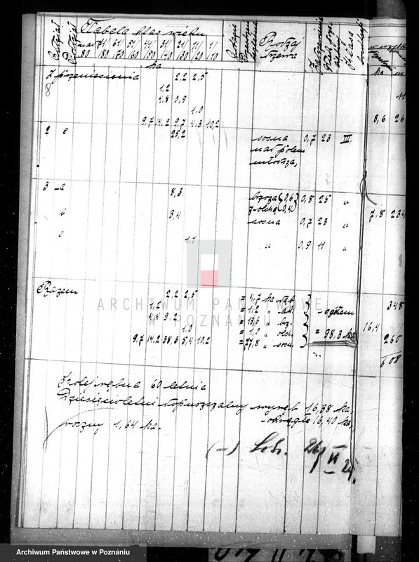 Obraz 12 z jednostki "Nadzór nad gospodarką w lasach majątku Dziadkowo powiecie gnieźnieńskim"