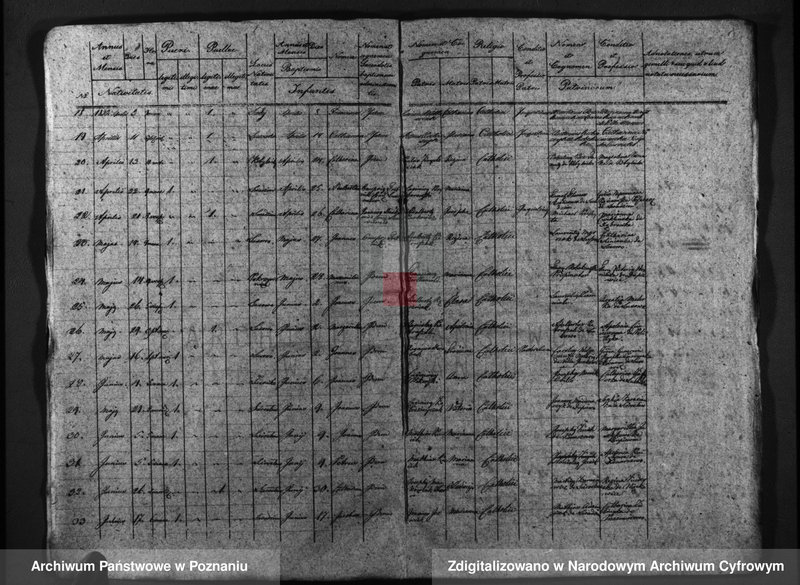 Obraz 5 z jednostki "Duplicatus baptisatorum, copulatorum, mortuorum"