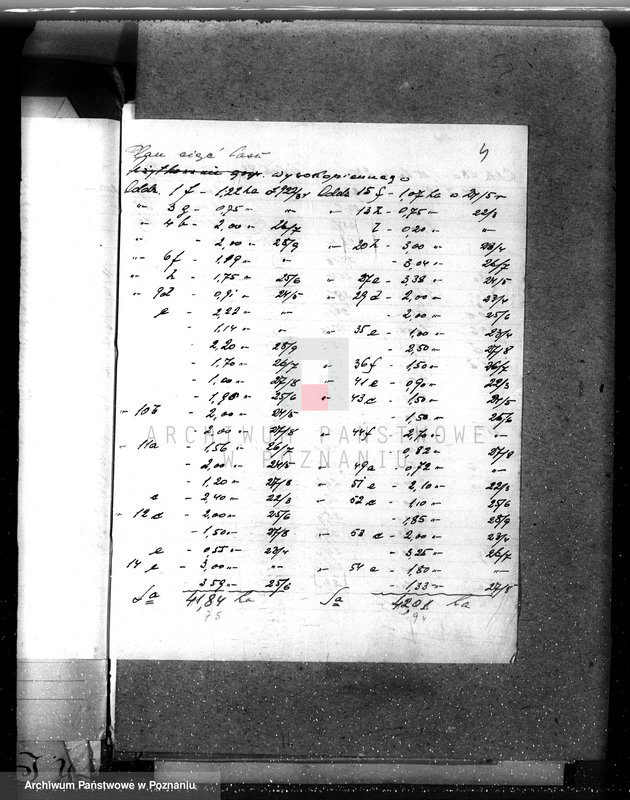 Obraz 8 z jednostki "Nadzór nad gospodarką w lasach majątku Czerniejewo powiecie gnieźnieńskim"