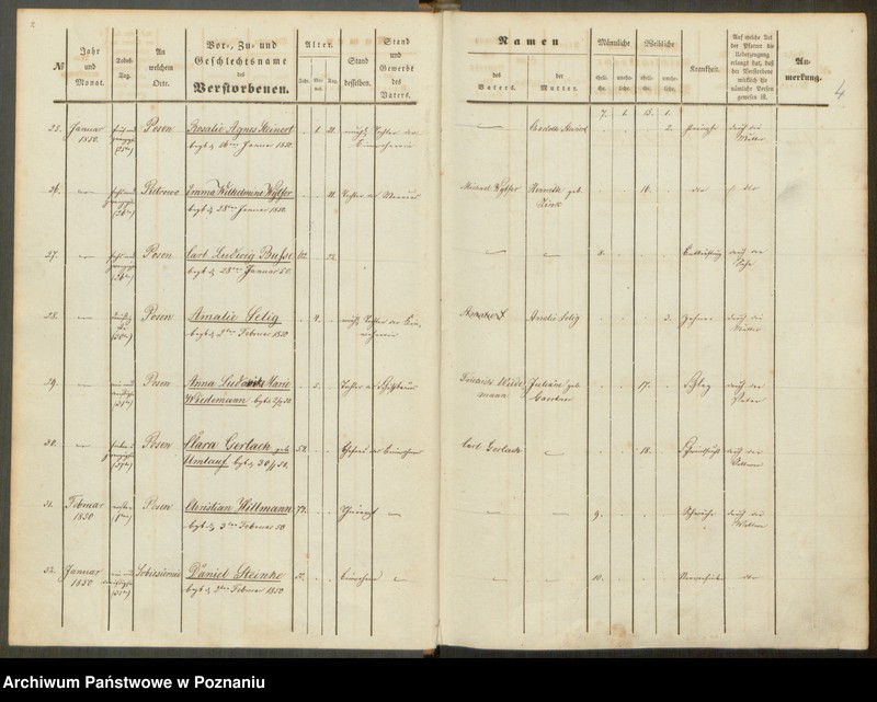 Obraz 5 z jednostki "Sterbenbuch"