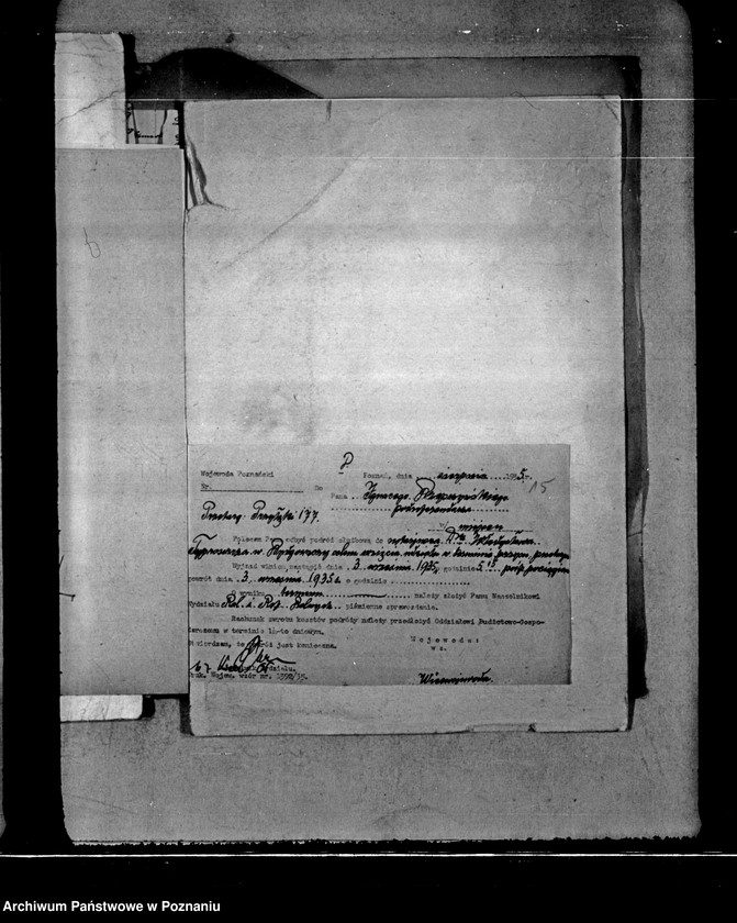 Obraz 19 z jednostki "Majętności Potulice powiatu bydgoskiego przymusowy przetarg"