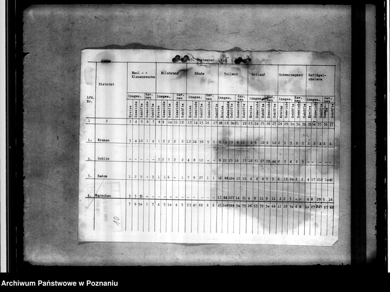 Obraz 14 z jednostki "Tierseuchenstand im Generalgouvernement"