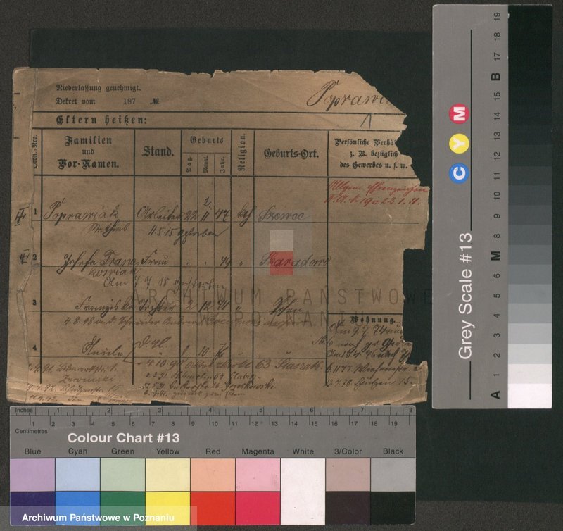 Obraz 3 z jednostki "Poprawiak - Porysiak"