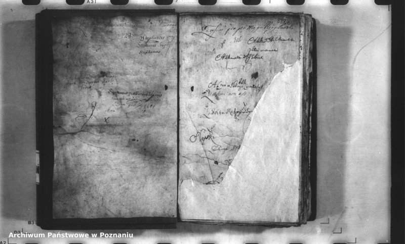 Obraz 3 z jednostki "Relationes [protocollon]"