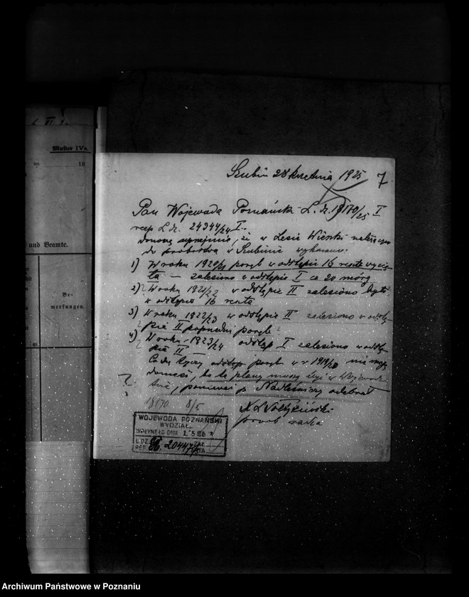 Obraz 11 z jednostki "Gospodarka leśna kościoła katolickiego Wieszki powiat szubiński"