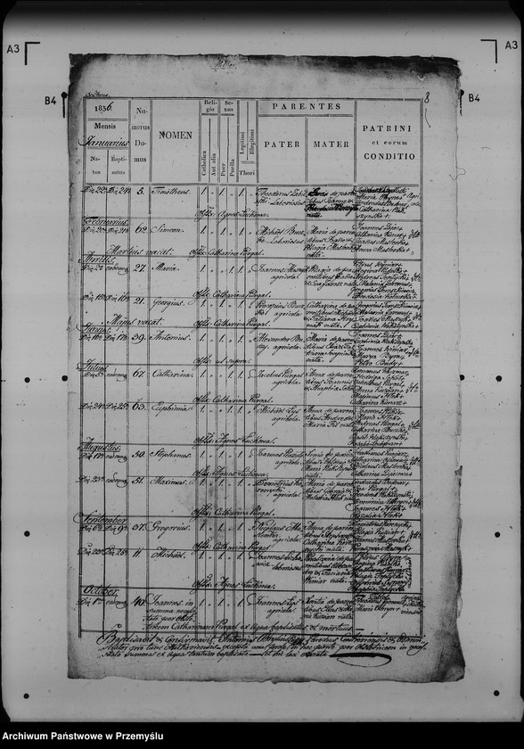 image.from.unit.number "[Kopie ksiąg metrykalnych parafii Miłków (dekanat Lubaczów)]"