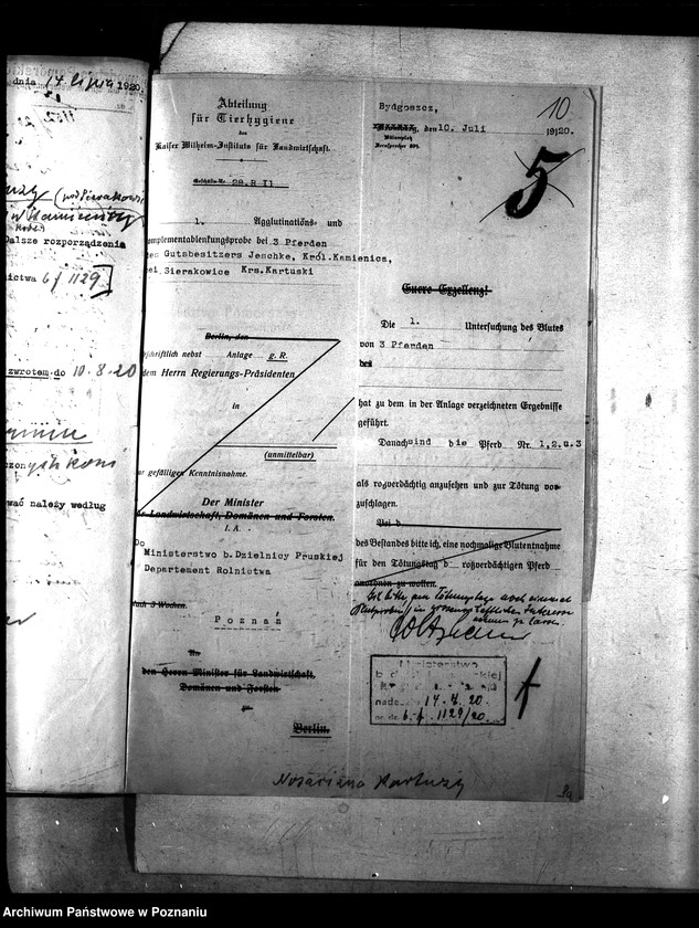 Obraz 14 z jednostki "Nosacizna - Kartuzy"