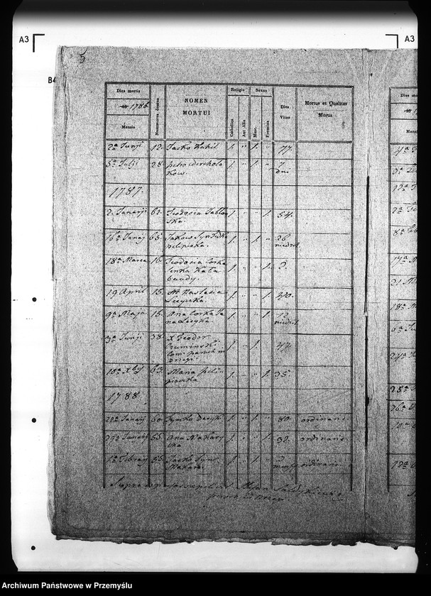 Obraz 9 z jednostki "[Kopie ksiąg metrykalnych parafii Brzegi (dekanat Sambor)]"