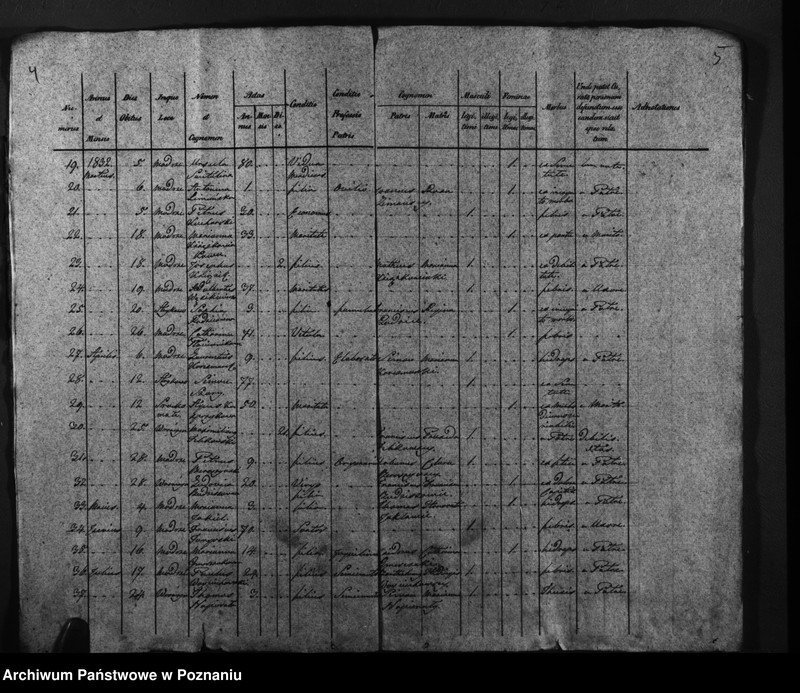 image.from.unit.number "Duplicatus baptisatorum, copulatorum, mortuorum"