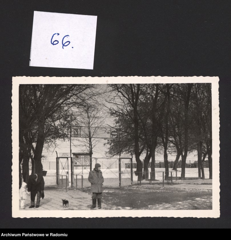 Obraz 16 z kolekcji "Najlepszy przyjaciel człowieka111"