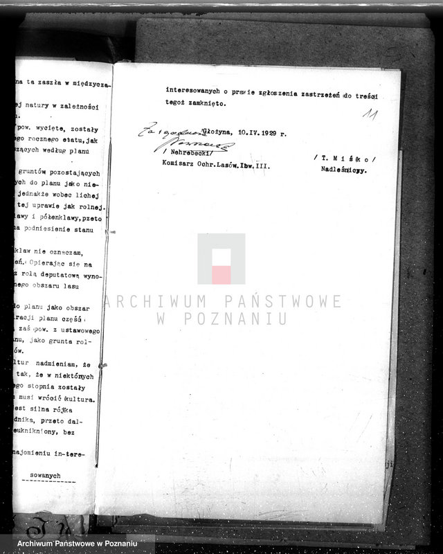 Obraz 15 z jednostki "Nadzór nad gospodarką w lasach majątku Czerniejewo powiecie gnieźnieńskim"