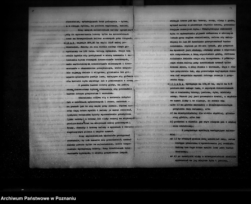 Obraz 11 z jednostki "Ogólny opis lasu majętności Września (plan cięć i plan urządzenia gospodarstwa leśnego)"