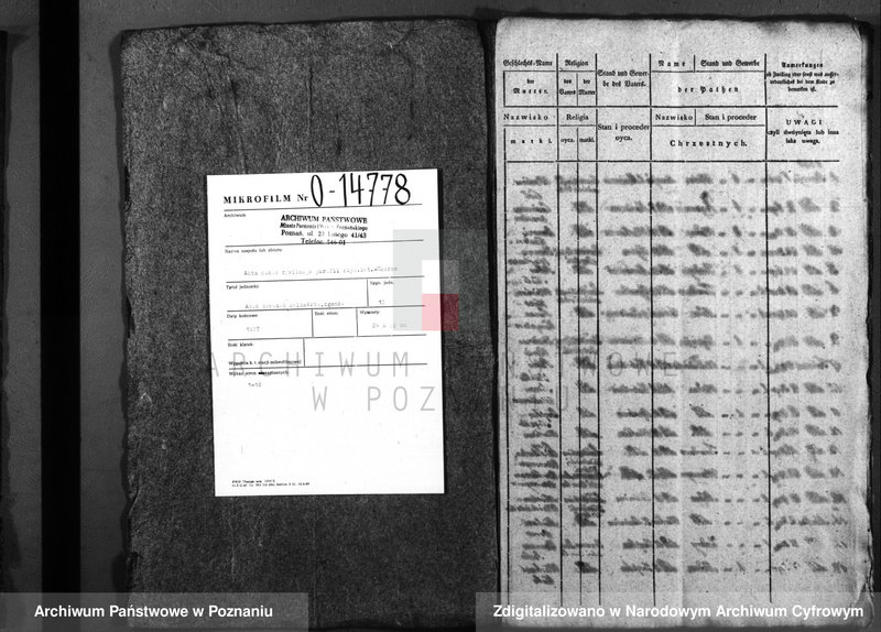 image.from.unit.number "Duplicatus baptisatorum, copulatorum, mortuorum"