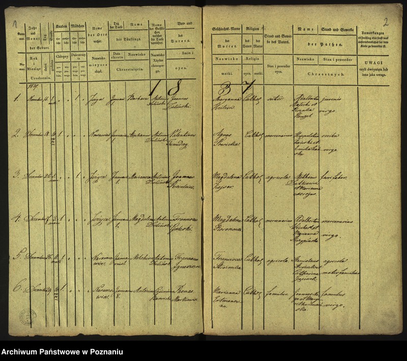 Obraz 4 z jednostki "Księga urodzeń"