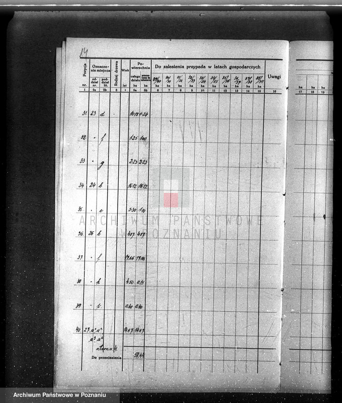 Obraz 18 z jednostki "/Opis lasu majętności Sławno w powiecie czarnkowskim/"