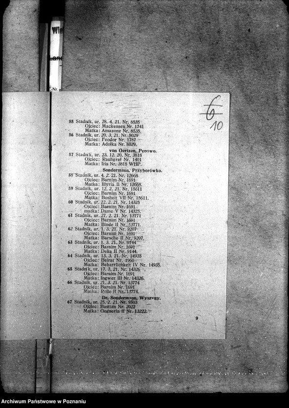 image.from.unit.number "Sprawy szczegółowo-administracyjne Aukcje inwentarza i wystawa"