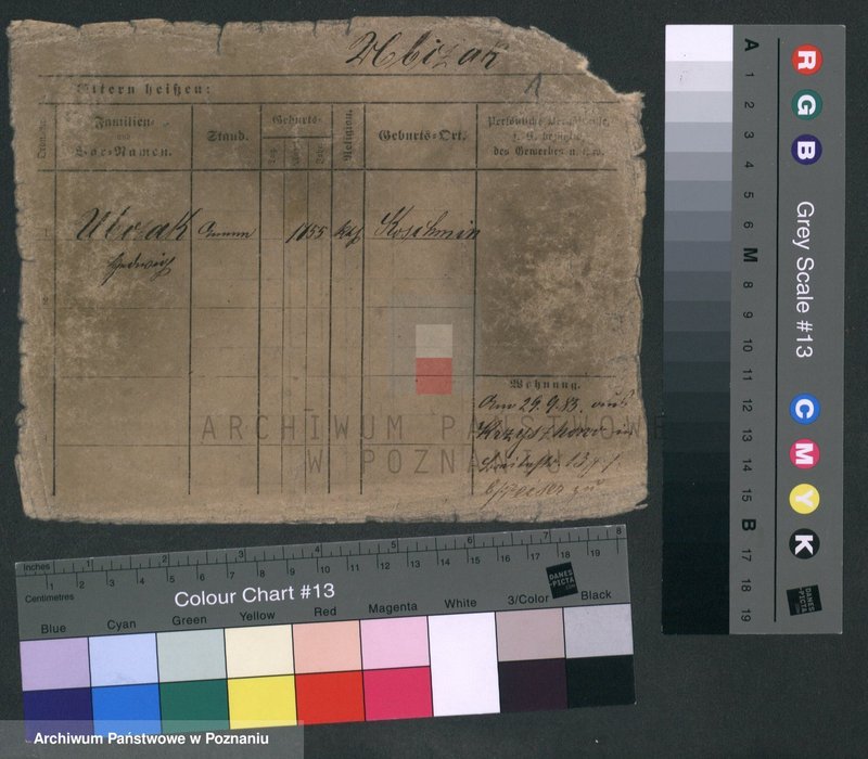 Obraz 5 z jednostki "Ubczak - Ulatowski"