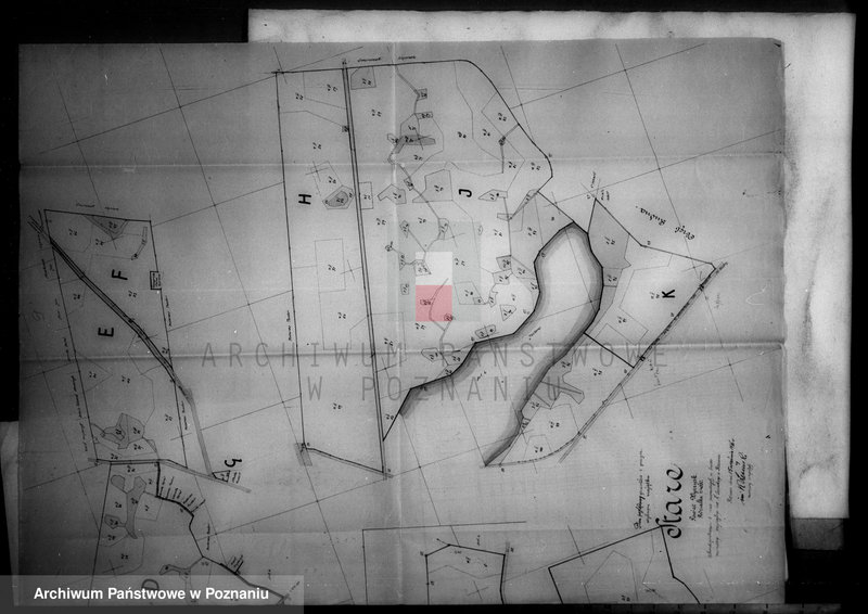 Obraz 13 z jednostki "Rejestr klasyfikacyjno-pomiarowy majątku Stare powiatu wyrzyskiego"