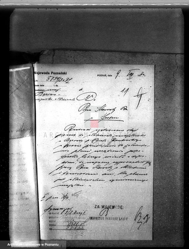 Obraz 15 z jednostki "Nadzór nad gospodarką w lasach majętności Borowo powiat średzki"