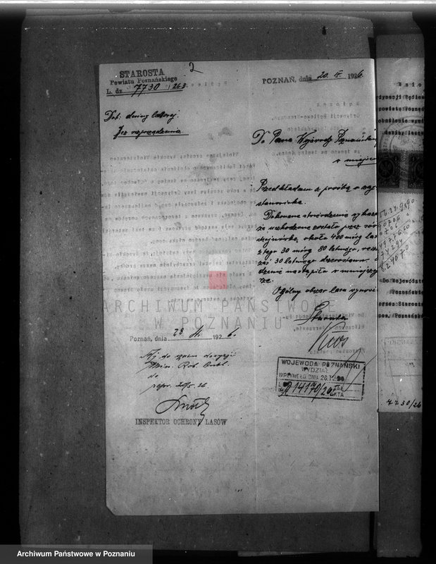 Obraz 5 z jednostki "Majętność leśna Wronczyn-Pomarzanowice powiat poznański"