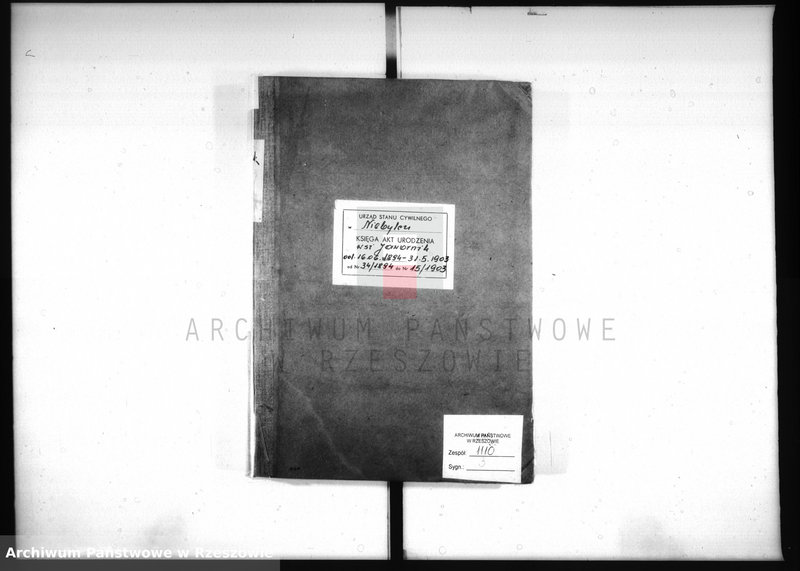 image.from.unit.number "Akta urodzeń Jawornik 1894-1903"