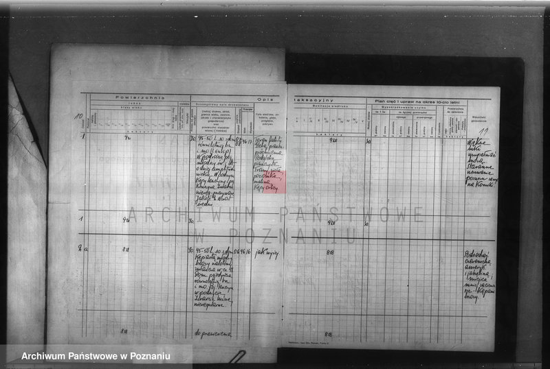 Obraz 14 z jednostki "Program urządzenia gospodarstwa leśnego dla lasu majętności Glinno powiat poznański 1938-1948"