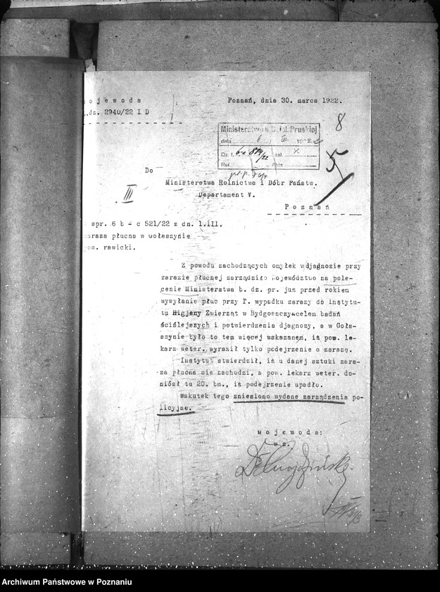 Obraz 12 z jednostki "Zaraza płucna - Rawicz"