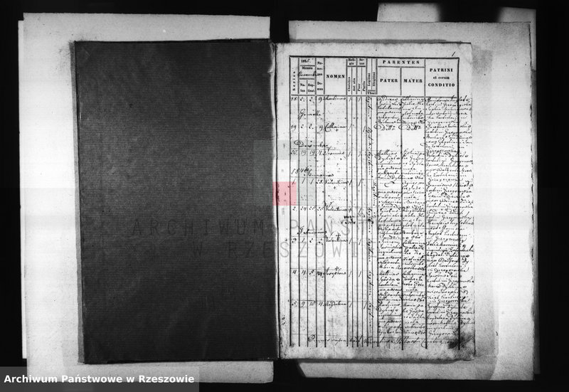 Obraz z jednostki "Księga urodzeń - Grzegorzówka"