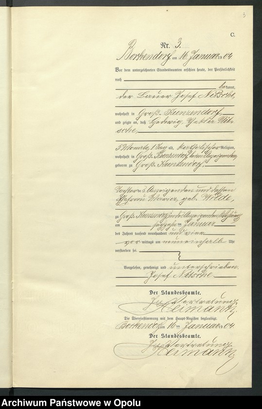 Obraz 7 z jednostki "Sterbe-Neben-Register des Standesamts Borkendorf pro 1904"