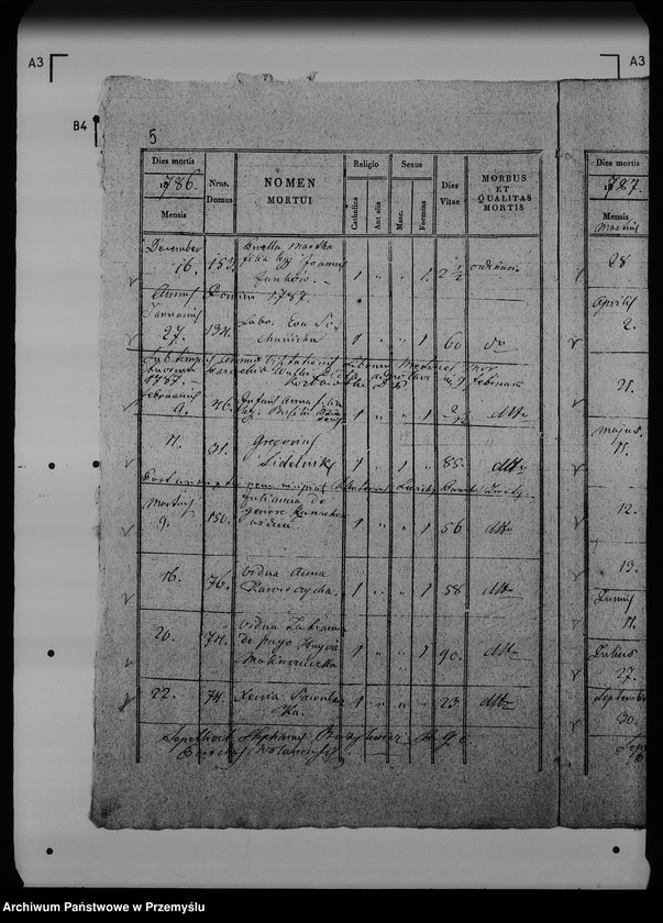 Obraz 10 z jednostki "[Kopie ksiąg metrykalnych parafii Wólka Mazowiecka (dekanat Rawa Ruska)]"