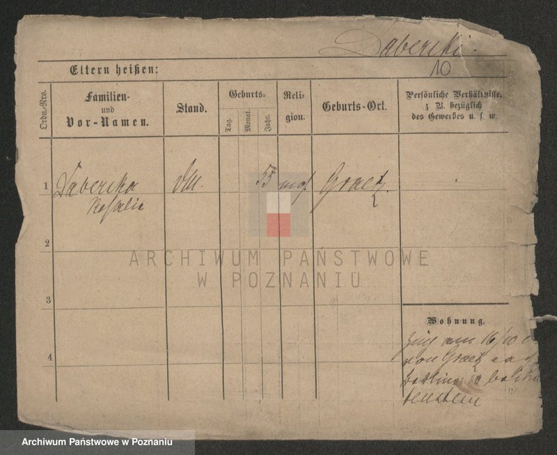 Obraz 12 z jednostki "Daab - Dalkowiecki"