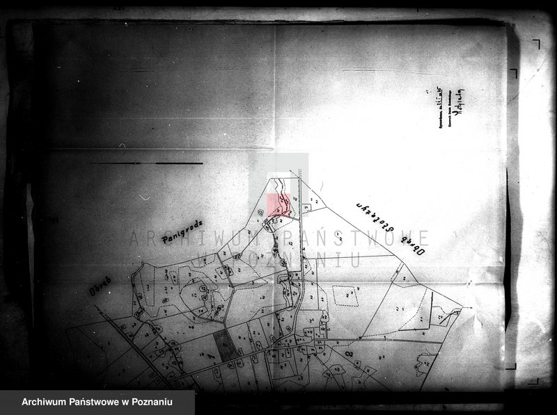 Obraz 5 z jednostki "Przewłaszczenie ziem dotacyjnych Panigródz powiat wągrowieckiego"